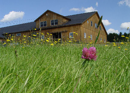 Thistle Ridge Barn